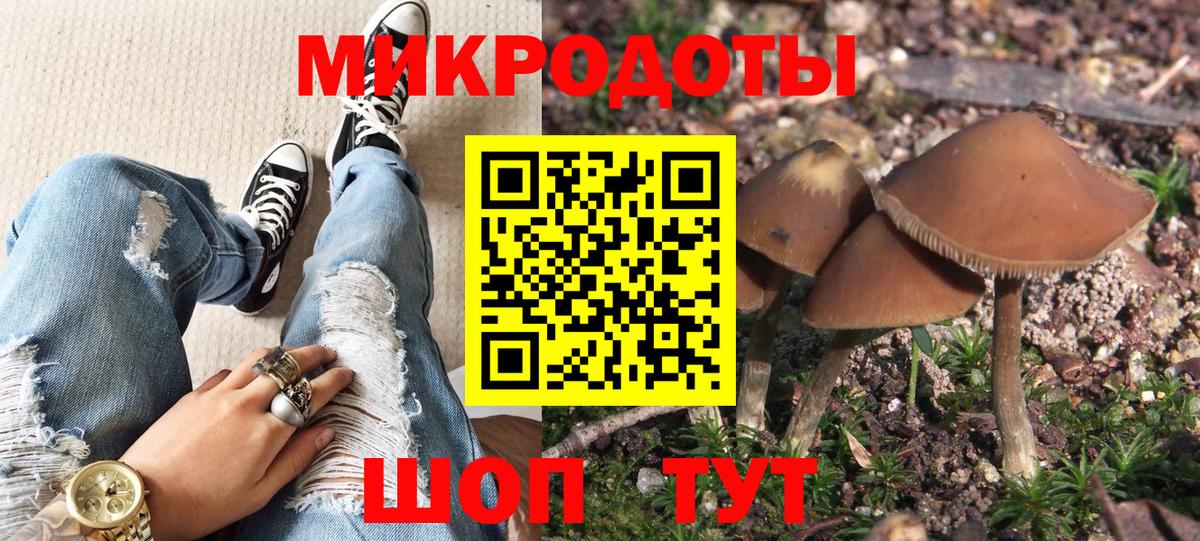 Галлюциногенные грибы мухоморы Гусев
