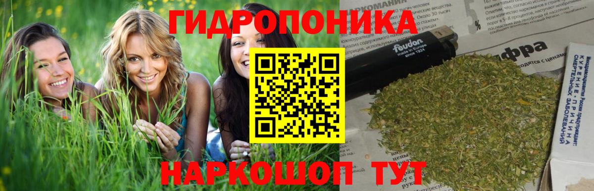 A PVP Гусев